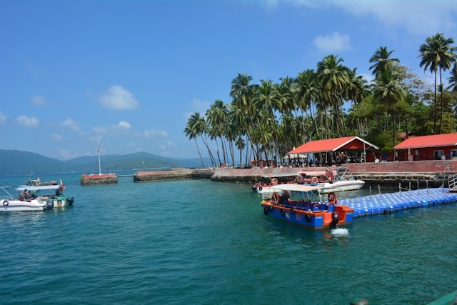 Boats docked at a tropical island pier with palm trees.