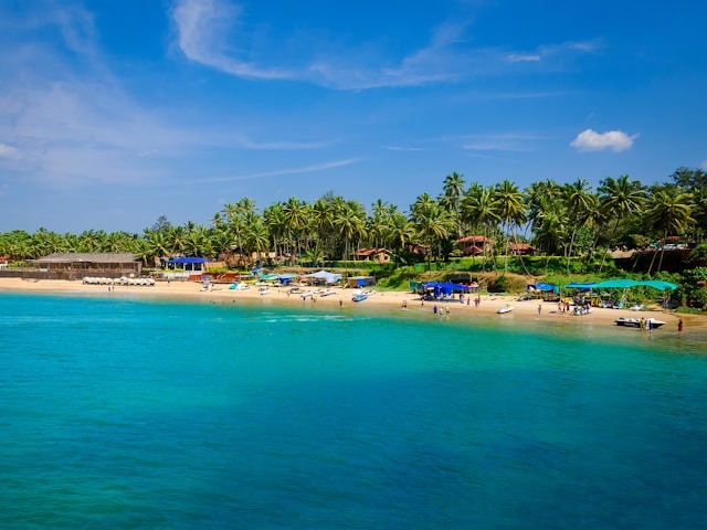 A sunny Goa beach with turquoise water, golden sand, and a line of palm trees.